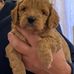 Harry Oxley - Facebook
