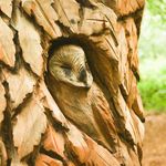 harry_oxley_photography - @harry_oxley_photography - Instagram