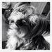 Harry Pack - Facebook