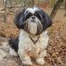 Harry Petrey - Facebook