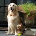 Harry Pinkerton - Facebook