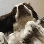 Harry Pitt - @harry__pitts - Instagram