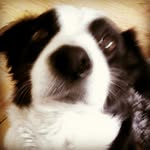 harry pitts - @harrymcnugget2000 - Instagram