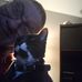 Harry Pietz - Facebook