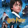 harry_vent_safe_place_acc - @harry_potter_acc88 - TikTok