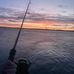 Harry Plummer - Facebook