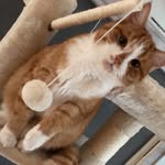 @harry_poezz - Instagram