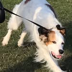 ik ben een poepje 🥺💓 - @harrypoepie - Instagram