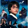 ✨PotterHead✨ - @_harry_potter_poland - TikTok