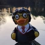 harry ponder - @adventures_of_harry.ponder - Instagram