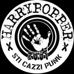 Harry Popper Reunion - @harrypopper_punkrock - Instagram