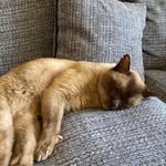 C1apze - @harry_portlock15 - Instagram