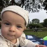 Harry Poulos - @poulosharry - Instagram