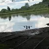 harryprescott_carp - @harryprescott_carp - TikTok