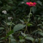 Harry Proctor - @h.proctor1 - Instagram