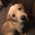 Harry.pullen - @harry.pullen3 - Instagram
