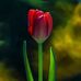 Harry Radin - Facebook