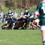 Harry Brady - @harry_brady9 - Instagram