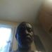 Harry Rainey - Facebook