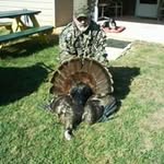 Harry Rainey - @harryrainey - Instagram