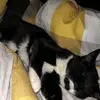 harryrainey215 - @harryrainey215 - TikTok