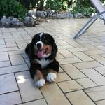 Harry Ralph - @harryralph18 - Instagram