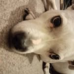 harryralph - @harryralph12022 - Instagram