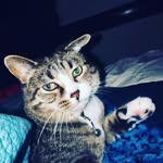 Harry Ramey - @harryslittleinstructionbook - Instagram