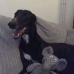 Harry Ramsay - @hegotgears - Instagram