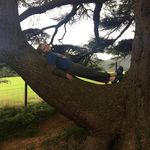 Harry Ramsay - @harry.ramsay.9210 - Instagram