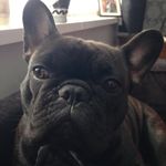 Harry Randall - @rangit021harry - Instagram