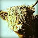 harryrandallbrown - @harry_randall_brown - Instagram