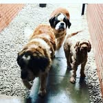 Harry Rayner - @rayner3887 - Instagram