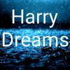 Harry dreams - @harrydreams - TikTok