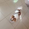Harry Rocha Pires - @harry_potter722 - TikTok