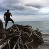 Harry Rock - @userjf0v6ddv32 - TikTok