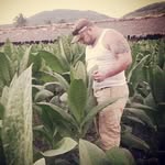 Harry Rockafella - @harryrockafella - Instagram