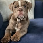 Harry_Rocketbulls_oeb - @harry_rocketbulls_oeb - Instagram