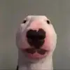Harry ryan - @harryryan.12 - TikTok