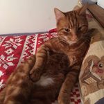 Harry Ryder - @harryryder_ - Instagram