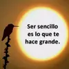 Harry_Salas - @harry_salas - TikTok
