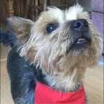 Harry Salisbury - Facebook