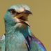 Harry Satterfield - Facebook