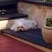 Harry Schilling - Facebook