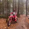 harry_schofield - @harry_schofield - TikTok