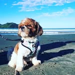 Harry Potter Rodrigues Sell - @harrysell1410 - Instagram