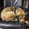 harrysellars360 - @harrysellars360 - TikTok