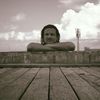 Harry Seward - @2179919082 - TikTok