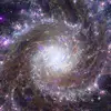 harryshafer521 - @harryshafer521 - TikTok