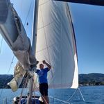 Harry Shields - @harry.shields.779 - Instagram